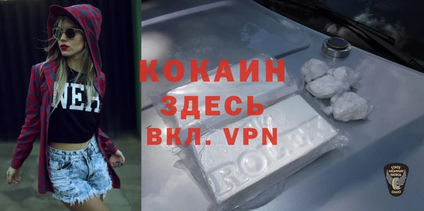 прущие грибы Бронницы