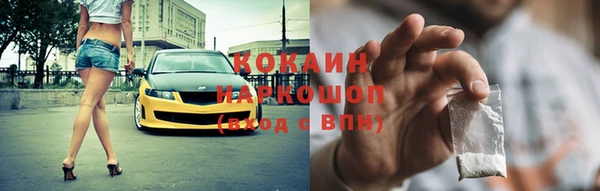 прущие грибы Бронницы