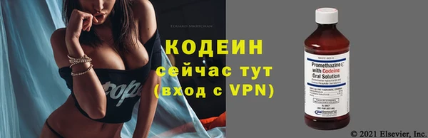 амф Бородино