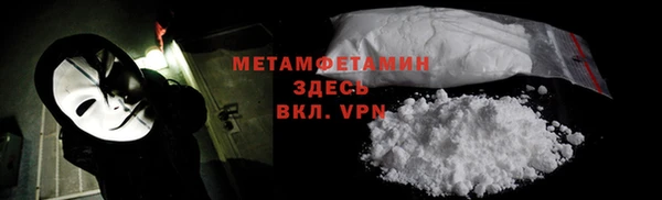 прущие грибы Бронницы