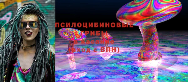 амф Бородино