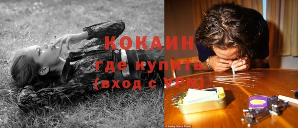 амф Бородино