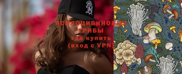 прущие грибы Бронницы