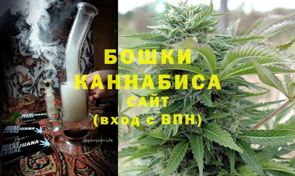 амф Бородино