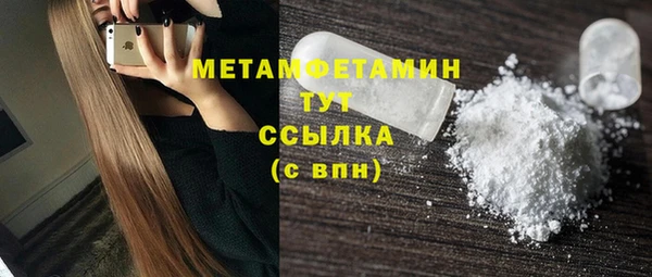 прущие грибы Бронницы