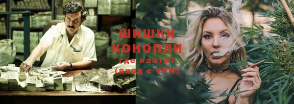 амф Бородино