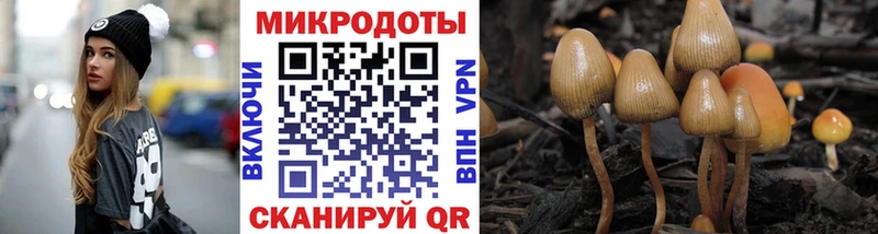 Галлюциногенные грибы Psilocybine cubensis Гусь-Хрустальный